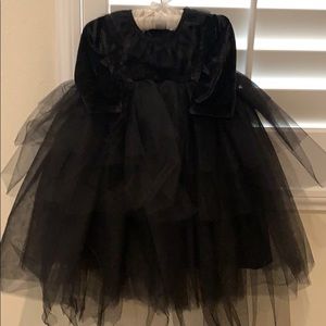 Pottery Barn Kids Kitty Tutu Costume